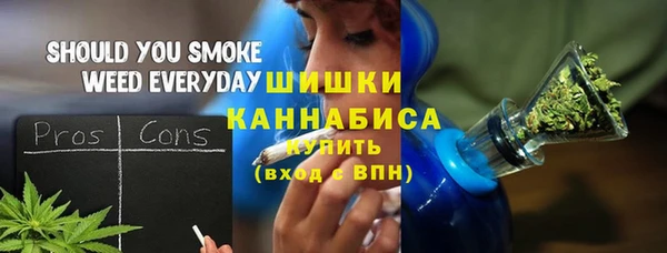 эйфоретик Вяземский