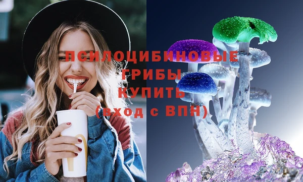 эйфоретик Вяземский